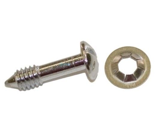 Hayward Sealed Beam Series Face Rim Lockscrew with Washer | SPX0503Z20A