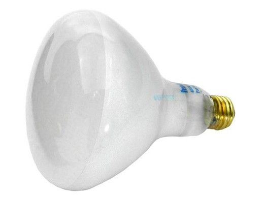 Hayward Bulb | 400W 110V G/FL | SPX0503Z5