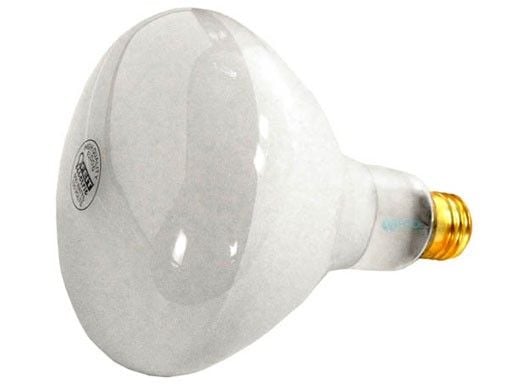 Hayward Replacement Bulb | 500W 120V R-40 Medium Base | SPX0504Z7