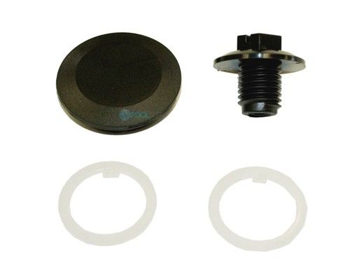 Hayward Cover Screw with Washer and Cap for Chlorinator | CLX200EGA