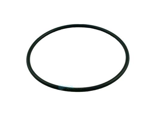 Hayward Pool Chlorinator O-Ring | CLX200K