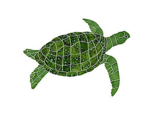 Ceramic Mosaic Sea Turtle Green | Small 18"? x 24"? Right Facing | STUGRERS