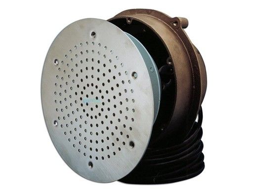 Pentair .75" IPS Thread Paragon Cast Bronze Niche for UW30 Speaker with Mounting Hardware | 68102