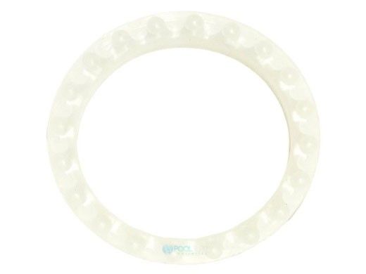 Pentair Swivel Bearing Washer | K12087