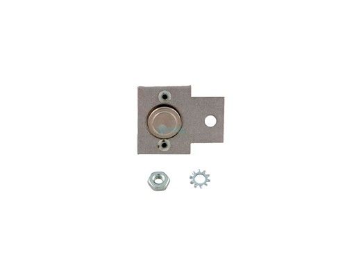 Zodiac Jandy Burner High Limit  Switch | R0319700