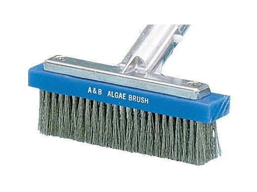 A&B Brush Straight Algae Brush | 3.5" | Stainless Steel Bristles | 2005