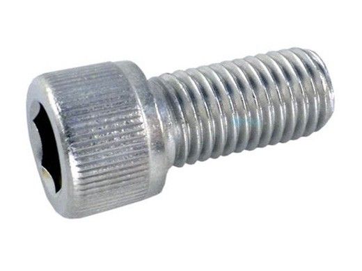 Pentair Legend Sweep Hose Adjustment Screw Stainless Steel | 370198