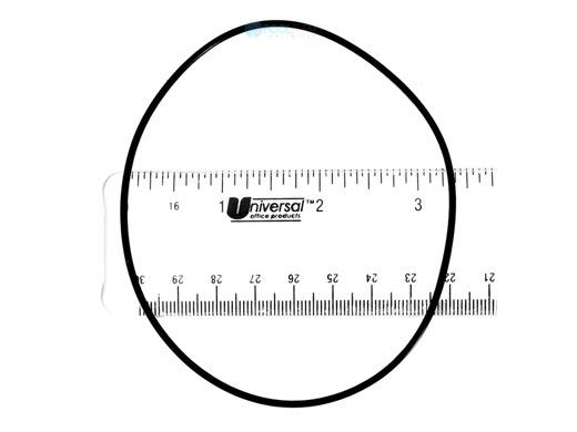 Pentair O-Ring for Housing Body | E13