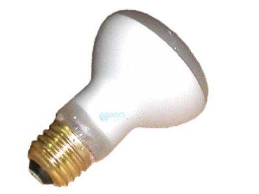 Halco R20 Short Spa Flood Incandescent Lamp | 100W 125V | HP20NFL39/HX