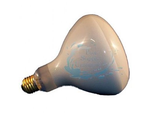 Hg Bulb 500W 120V Med Base | R40FL500