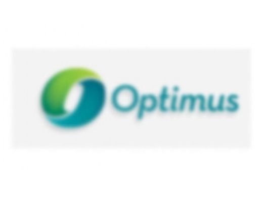 Optimus O-Ring | 4611-06 4546-001