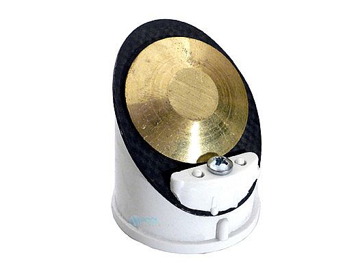 Pentair Check Valve Assembly | 191437