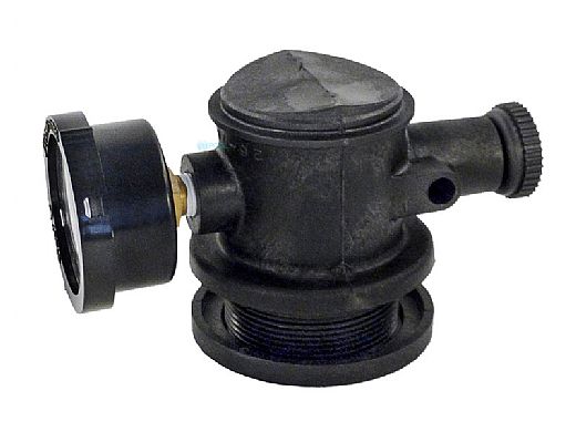 Pentair Automatic Air Relief Assembly | 261003 | Pool Supply Unlimited