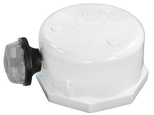 Pentair Cap and Strainer Assembly | 274411