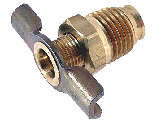 Pentair Bleeder Valve | 154662