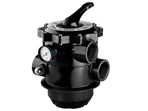 Pentair Tagelus Multi-Port Valve Clamp Style with 2" Ports | 261185