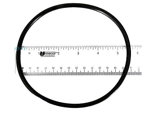 Pentair Dynamo Lid O-Ring | 354533