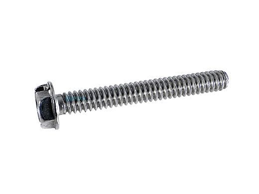 Pentair Slotted Hex Screw for Dynamo & Hi-Flow Valve | 354541