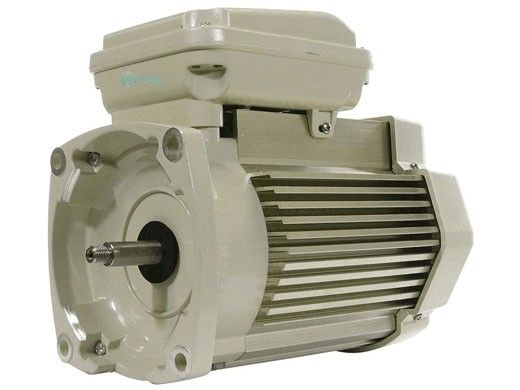 Pentair Motor Square Flange Energy Efficient | 3 Phase | 208/230/460V 1HP | Almond | 356626S | 354805S