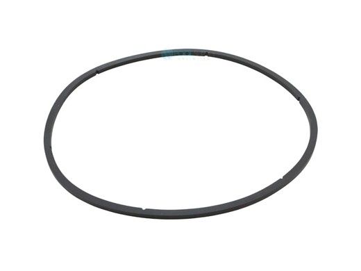 Pentair EQ Series Strainer Lid Gasket | 1" | 350166 350166Z