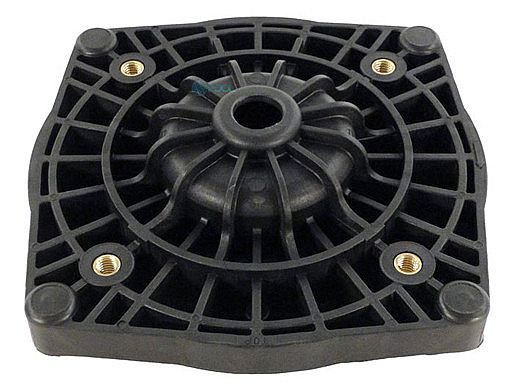 Pentair Sta-Rite Seal Plate BLack | 355612