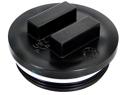 Pentair All-Purpose Plug with O-Ring 2" | 195830