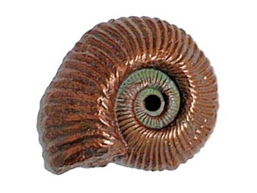 Pentair Copper Shell Fossil Nautilus | 5824205