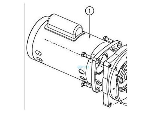 Pentair Motor Square Flange | 2-Speed 1.5HP 230V | Black | 355377S