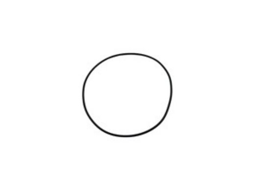 Gecko #158 Volute O-Ring TMCP/FMHP | 92200090