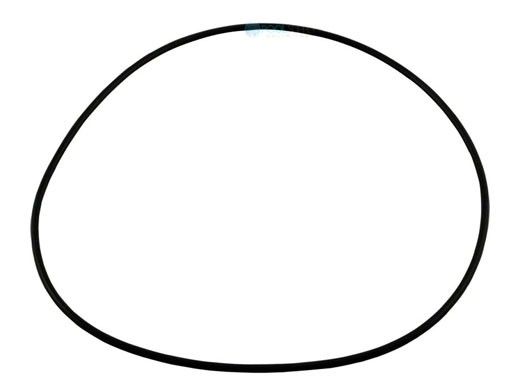 Polaris Seal Plate O-Ring Halcyon | P85