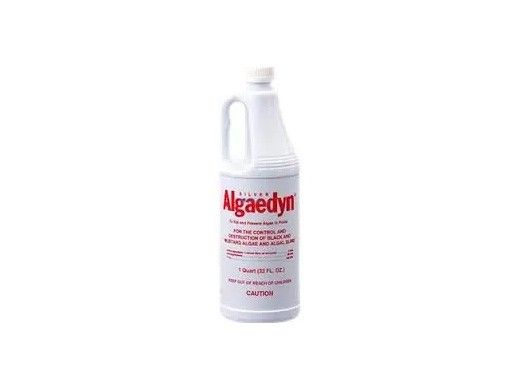 Silver Algaedyn Algae Remover | 1 Quart | 47-600