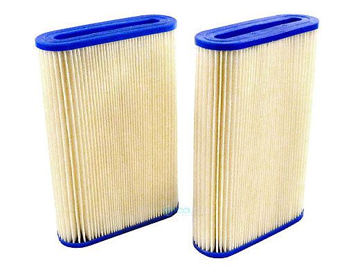 Hayward Element Filter Cartridge | Set Of 2 | RCX7807
