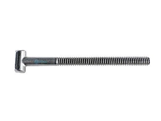 Pentair Purex Stainless Steel Filter Clamp T-Bolt 1/4"-20x3-1/2" P02810 | 070428Z