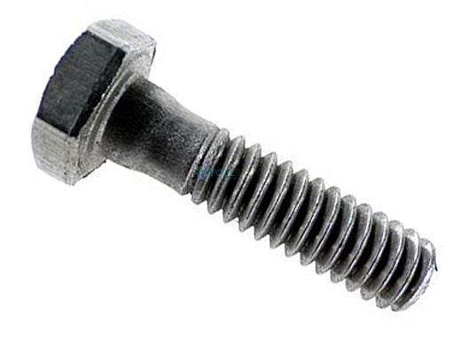 Pentair SS Screw Hex Cap 1/4"-20 x 1" | 2-Required | P26948 071657 071657Z