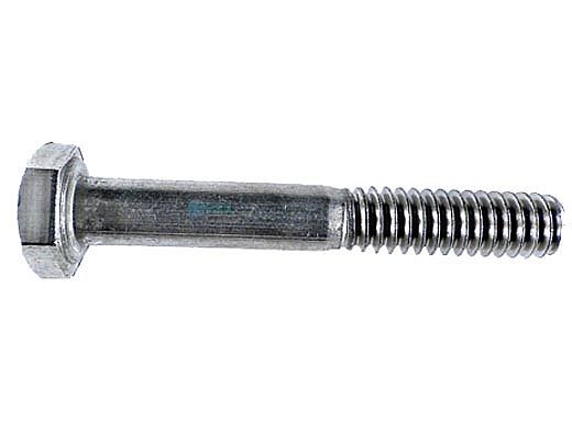 Pentair Stainless Steel Handle Stud Bolt 1/4"-20x1-3/4" P12176 | 070979