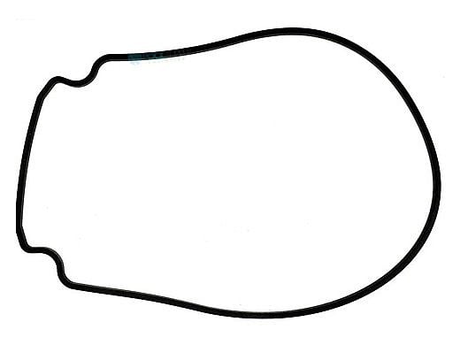 Pentair Seal Plate Gasket | Black | 357100 357100Z