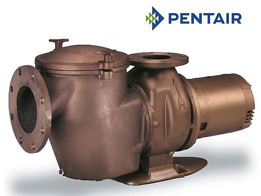 Pentair C-Series 7.5HP Standard Efficiency Single Phase Commercial Bronze Pump with Strainer | 230V | CH-75 | 347916