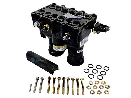 Pentair MasterTemp Heater Manifold Assembly 250NA 250LP Models | 460748