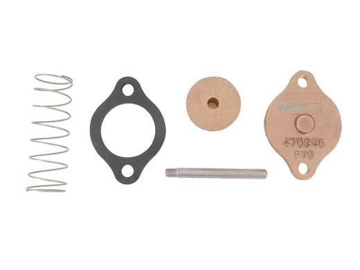 Pentair Flow Valve Assembly | 900K BTU | 471115