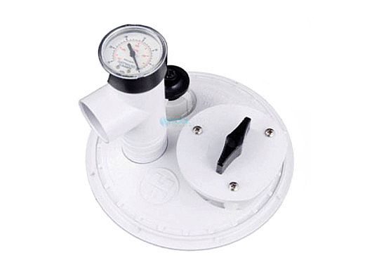 Hayward Automatic Skimmer Vacuum Plate | W490R