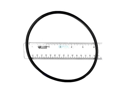 Hayward Leaf Canister O-Ring | W530,W560 | AXW542