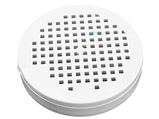 Pentair Check Valve Screen | R172401