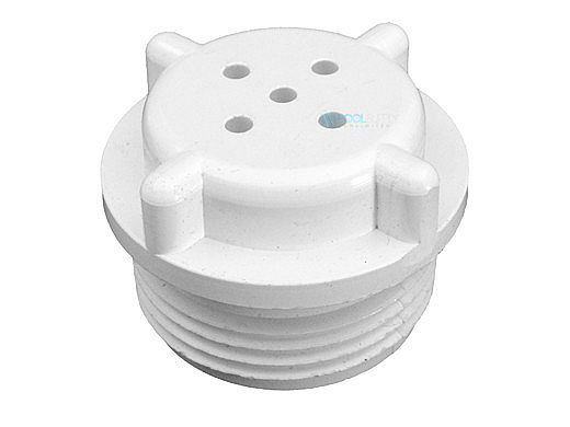 Pentair Check Valve Assembly | R172406