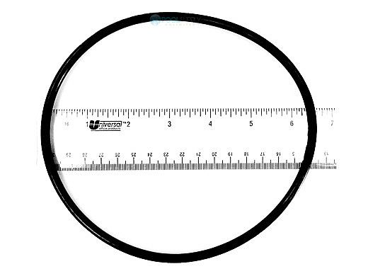 Pentair Lid to Housing O-Ring | R172223