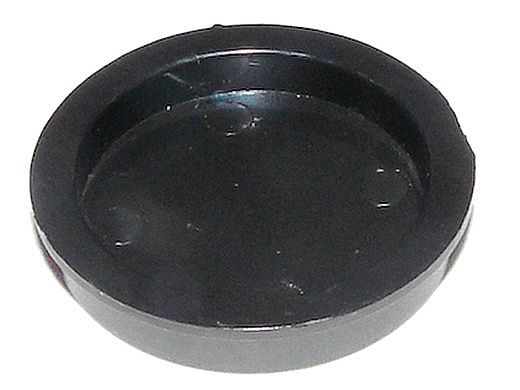 Pentair By-Pass Disable Plug 1.5" | R172225X