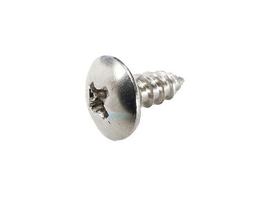 Pentair Phillips Truss Head Lock Screw | R172375