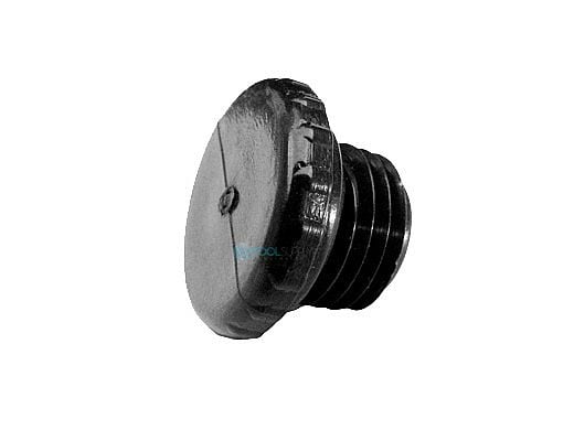Pentair Access Plug 1/4" MNPT Connection | R172392