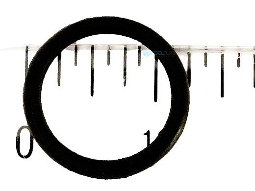 Pentair O-Ring | R172393