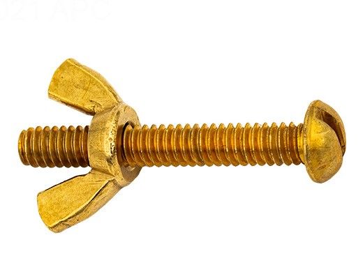 Pentair #155 Brass Bolt and Wing Nut | R221156