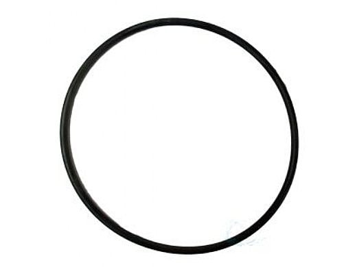 Pentair Rainbow Chlorinator Lid O-Ring | R172240Z
